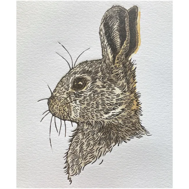 Lino cut rabbit portrait by Emily Robertson