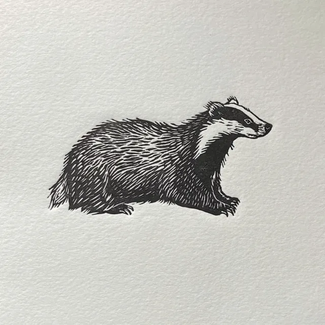 Black and white badger lino cut print by Emily Robertson