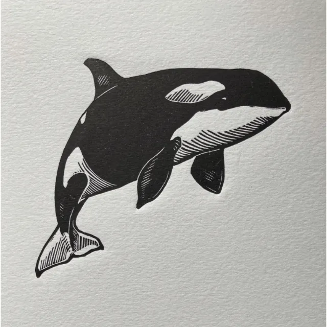 Black and white orca whale lino cut by Emily Robertson