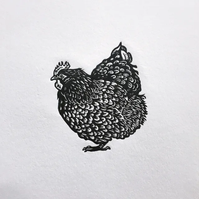 Playful fluffy chicken lino cut illustration