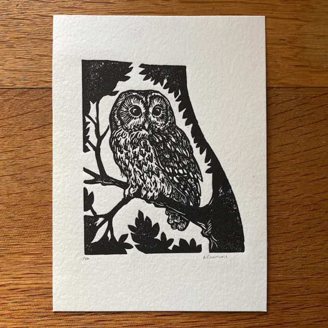 Black and white lino cut of a tawny owl on a tree by Emily Robertson