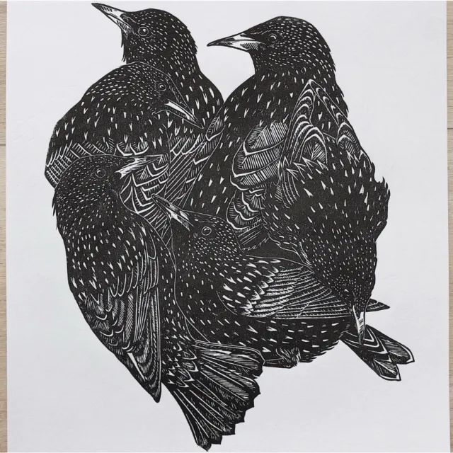 Lino cut artwork of starlings by Emily Robertson