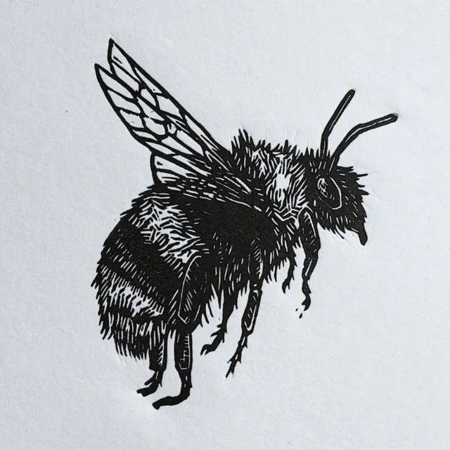 Black and white bee lino cut artwork by Emily Robertson