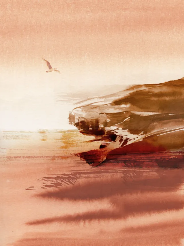 Sunset seascape with rocky cliffs and a bird flying by Petra Dufkova