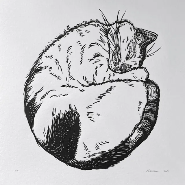 Ink drawing of a curled up sleeping white and tabby cat by Emily Robertson