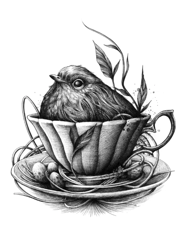 Detailed black and white drawing of bird sitting in a teacup by Miosis