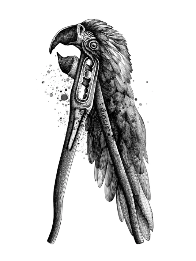 Black and white parrot illustration combined with pliers by Miosis