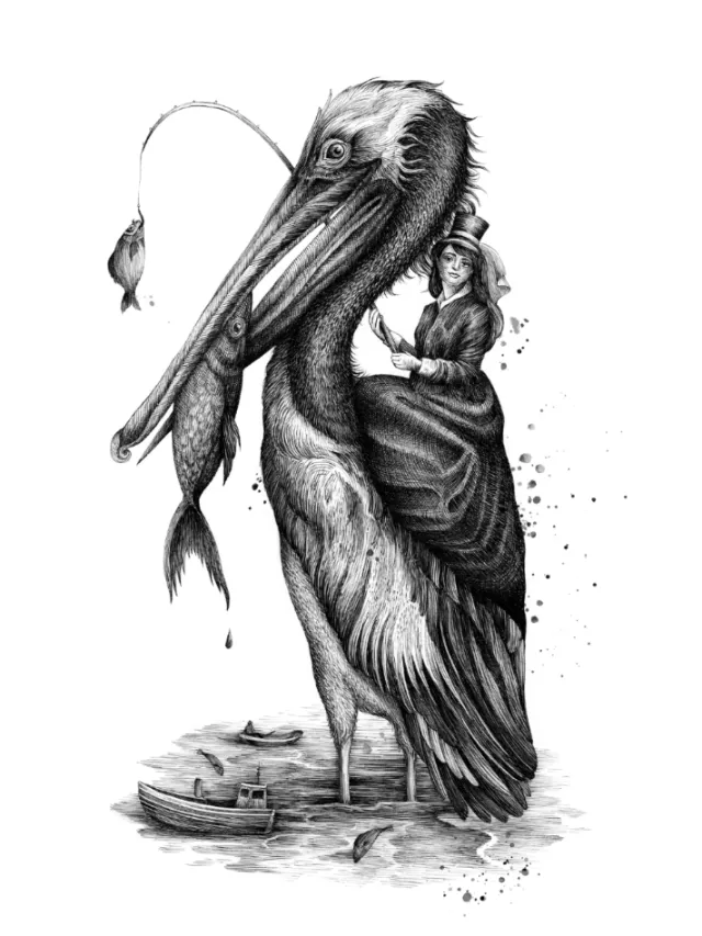 Pelican with woman and fish in coastal setting
