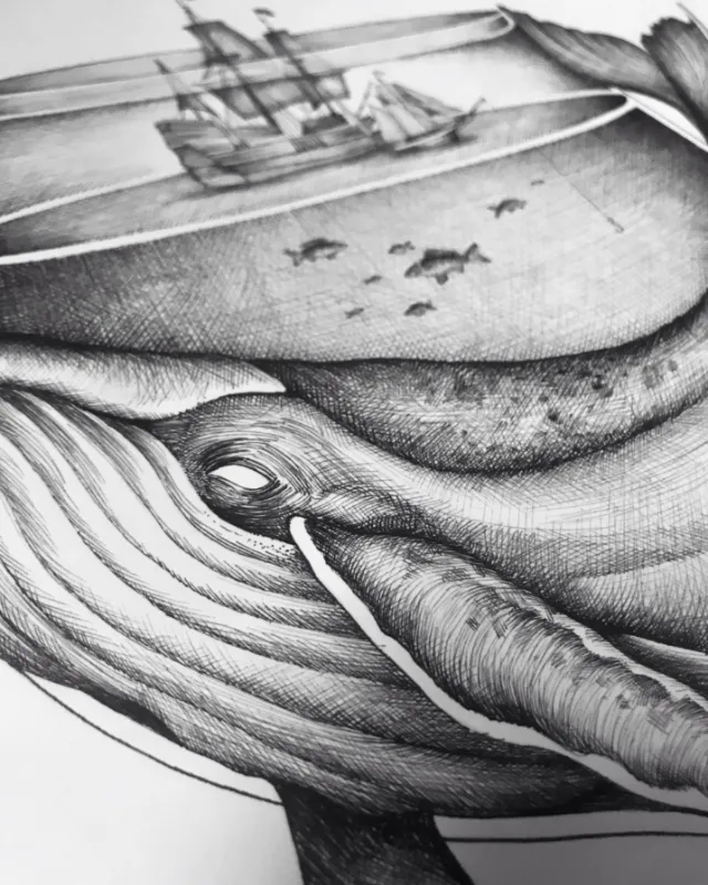 Fine line artwork showing whale and ship interaction at sea