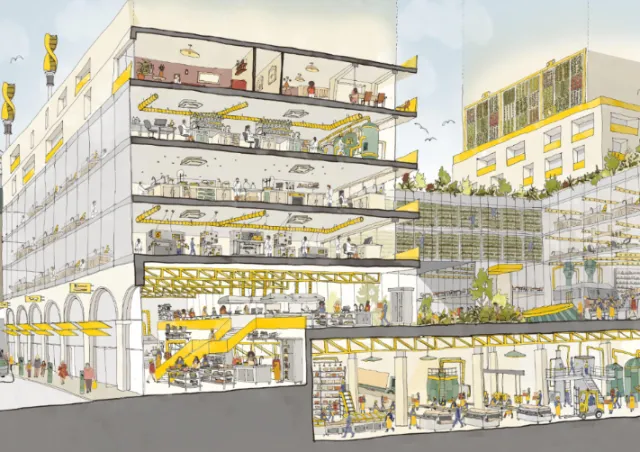 Architectural section of Camley Street Knowledge Garden by Jack Sweet