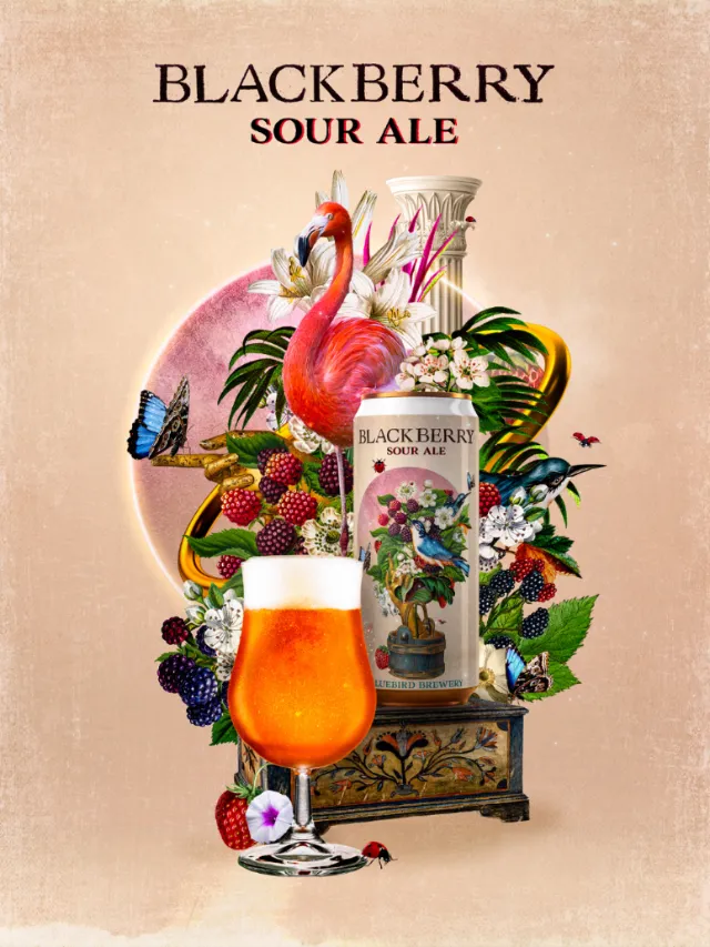 Glass of blackberry sour ale with flamingo and fruit artwork by Patrick Boyer