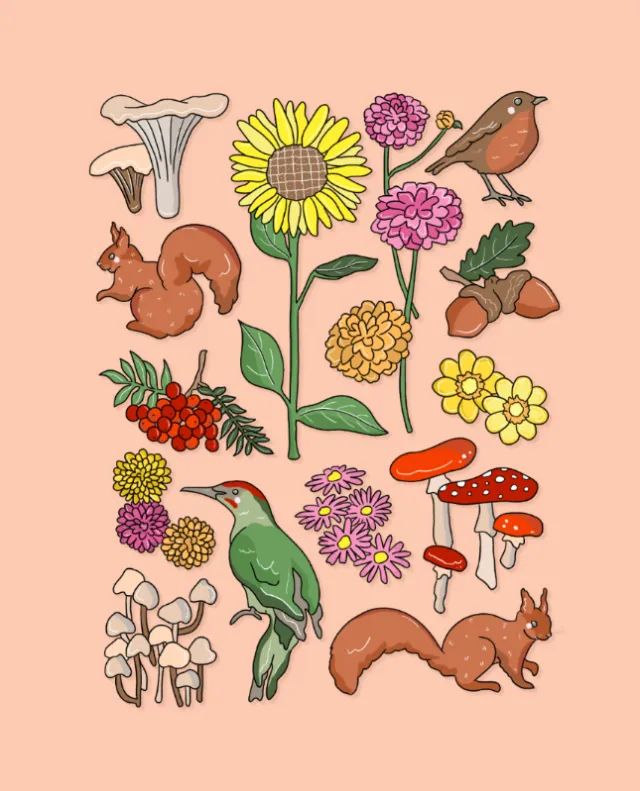 Stylised seasonal icons representing autumn nature