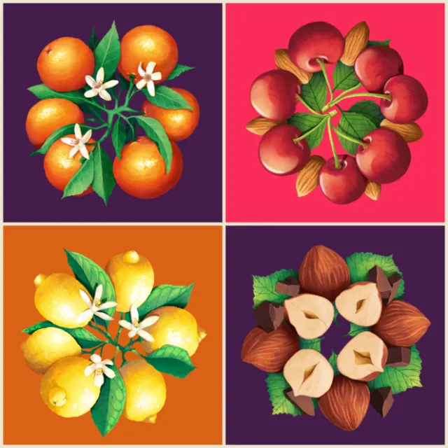 Colorful fruit clusters with leaves and flowers on solid backgrounds by Luiza Laffitte