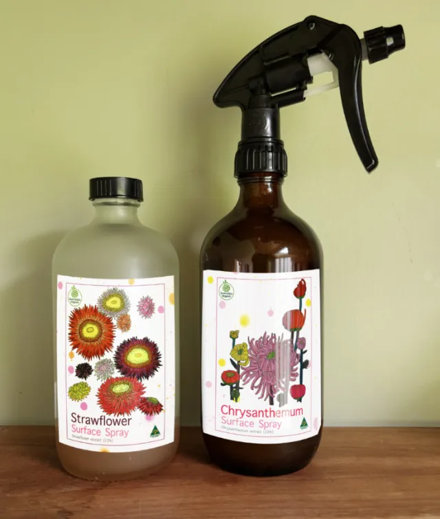 Surface spray bottles labeled Strawflower and Chrysanthemum by Sarah Beetson
