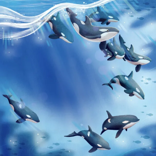 Digital illustration of orcas swimming underwater by Teresa Alberini
