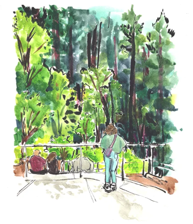 People viewing lush greenery at Oregon Zoo, by Briana Kranz