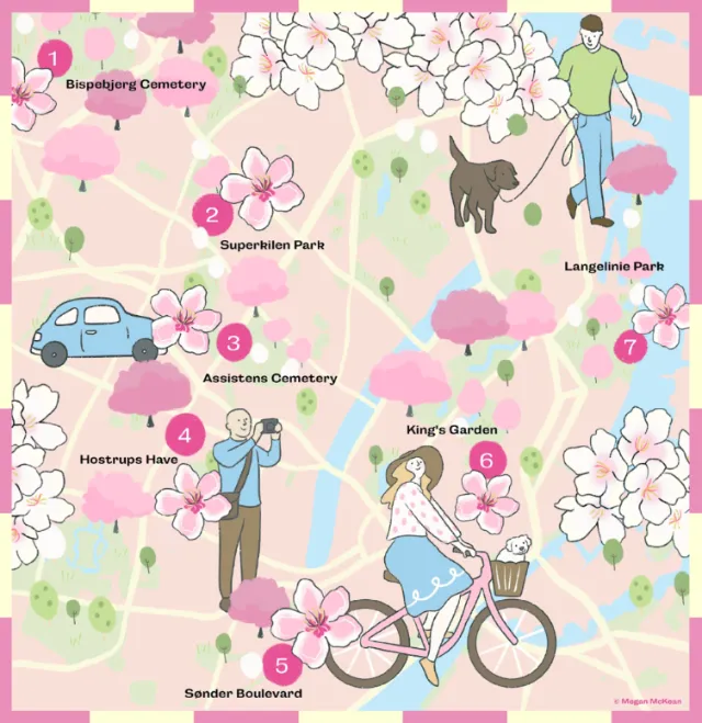 Illustrated cherry blossom map of Copenhagen 2026