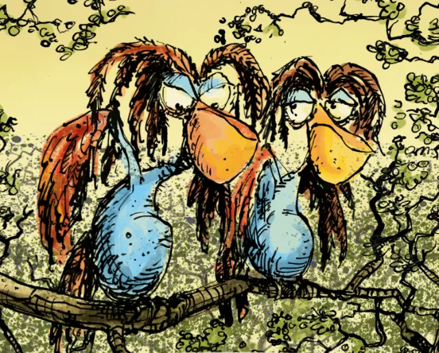 Two cartoon bird-like creatures with droopy feathers by Sholto Walker