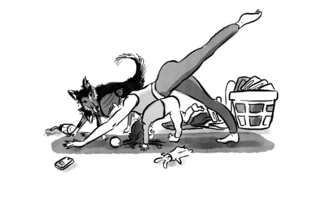 Woman stretching in yoga pose with two dogs and laundry basket by Briana Kranz