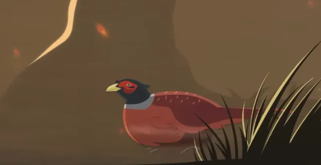 Study MSc Nature Recovery, Restoration and Rewilding at the University of Manchester (Animation)