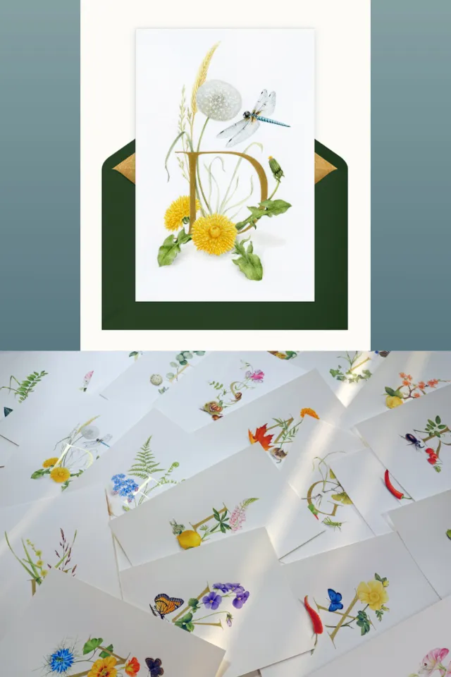 Collection of botanical flower illustrations by Svetlana Molodchenko