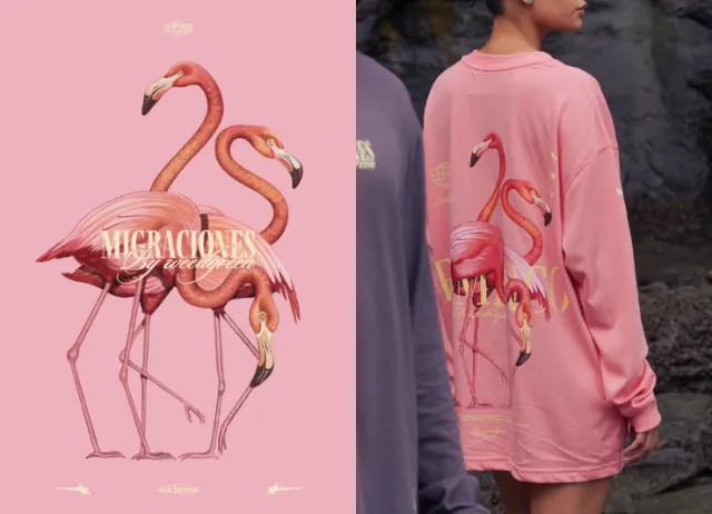 Flamingo artwork on pink apparel by German Gonzalez