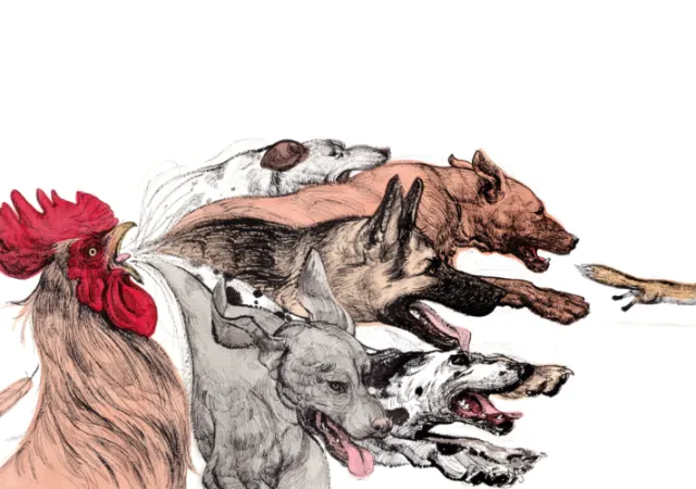 Detailed illustration of a fox, rooster, and dogs from Aesop's fable by Maki Yamaguchi