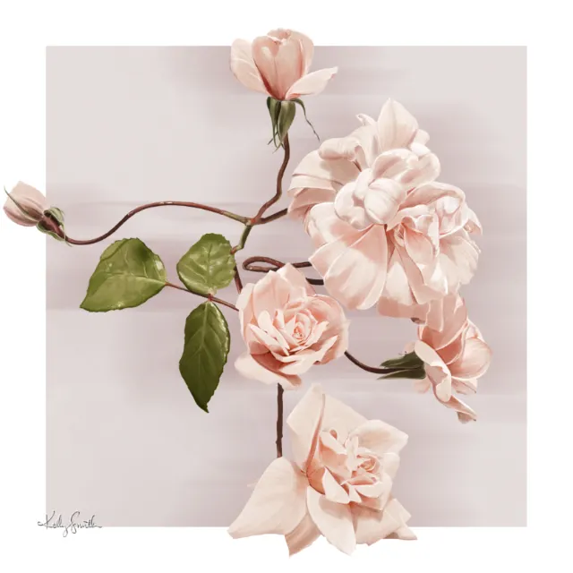 Illustration of delicate light pink roses and green leaves by Kelly Smith