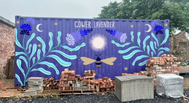 Mural design featuring lavender and a bee by Hannah Davies