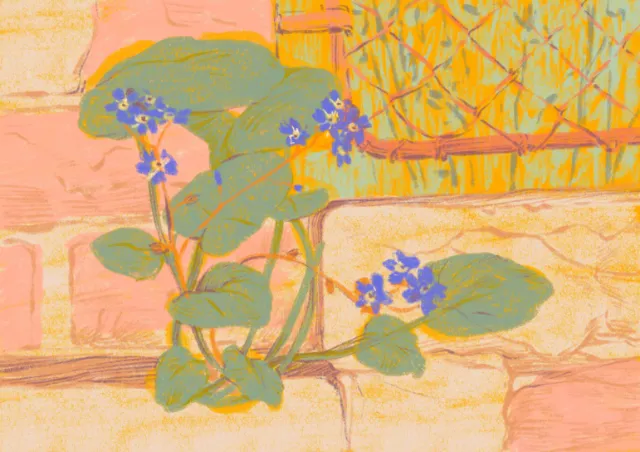 Flower growing through wall cracks, showcasing nature's resilience by Roma Gavrila