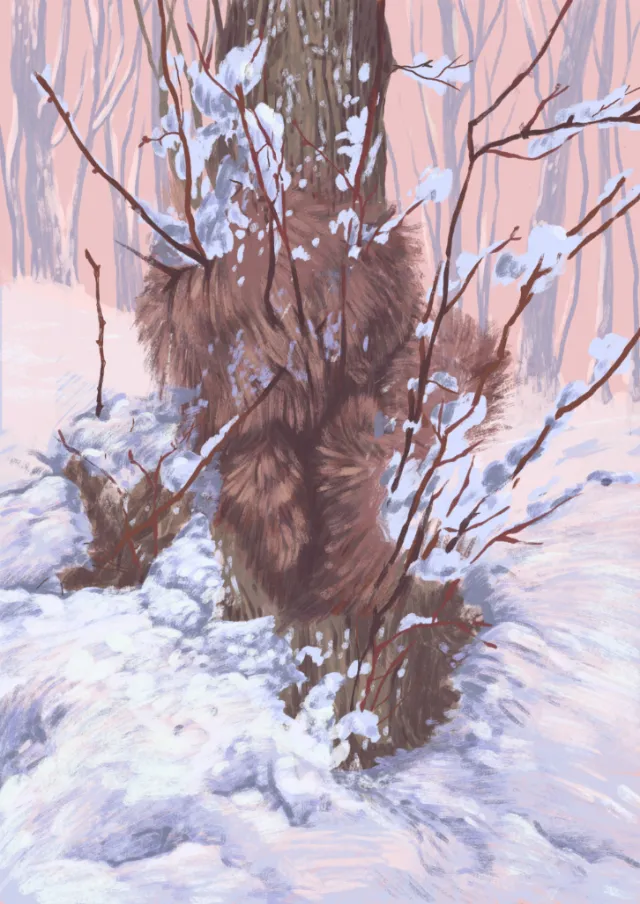 Surreal winter tree with fur growing on trunk and snow-covered ground, by Roma Gavrila