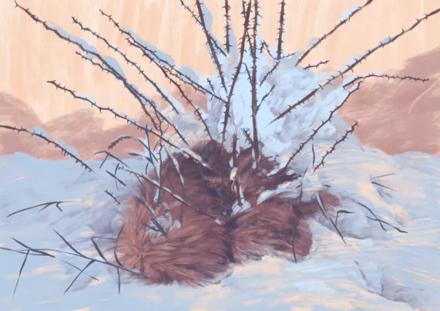 Surreal winter bush with bare branches growing fur in snow by Roma Gavrila