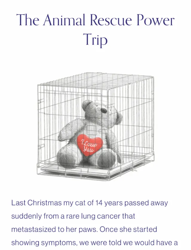 Teddy bear inside wire cage holding a red heart by Dena Cooper