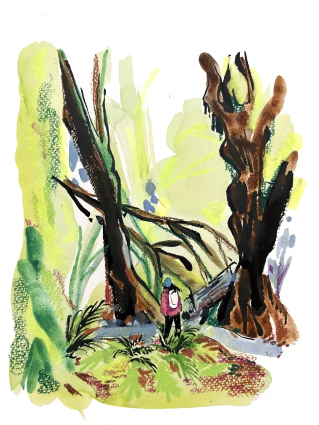 Watercolor of person hiking in forest by Briana Kranz