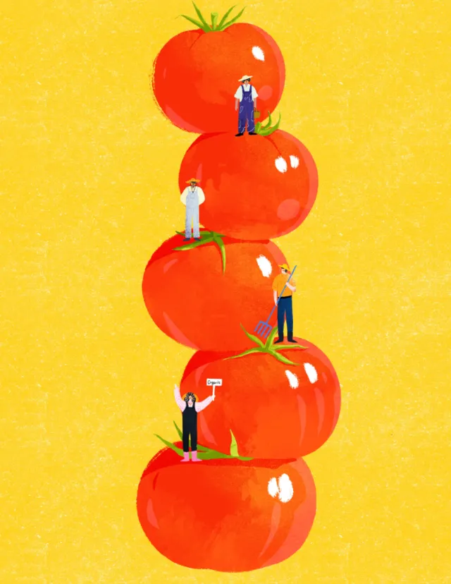 Tiny people climbing large stacked summer tomatoes by Xinping Li