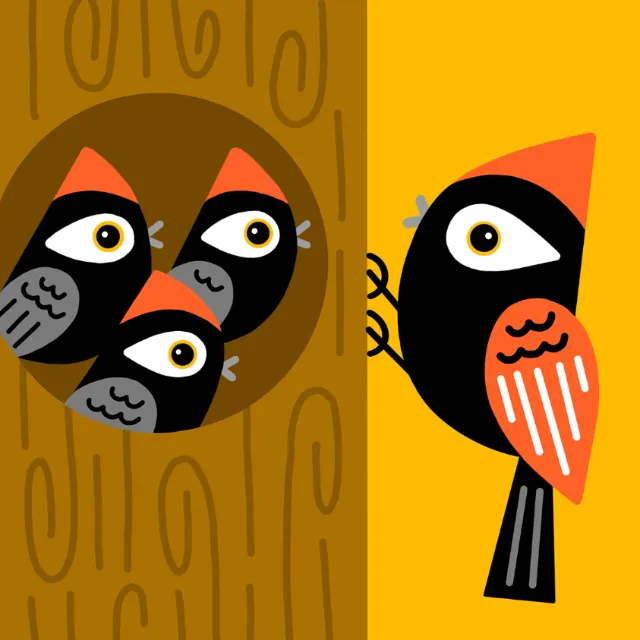 Four stylized birds with black, orange, and gray details in a tree and on a branch by Genna Blackbur