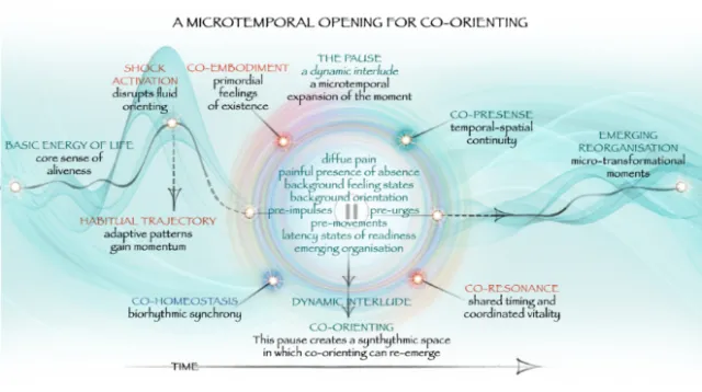 Diagram illustrating microtemporal opening for co-orienting process by Juliet Percival