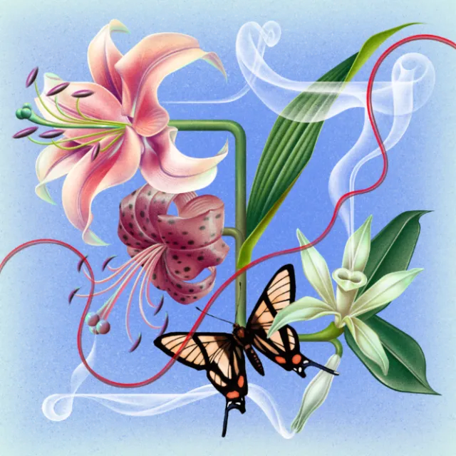 Wenjing Yang artwork showing pink lilies, white flowers, tendrils, and butterflies