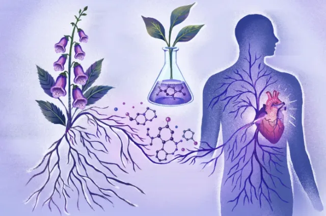 Botanical human connection illustration by Li Zhang with roots, flowers, and glowing heart
