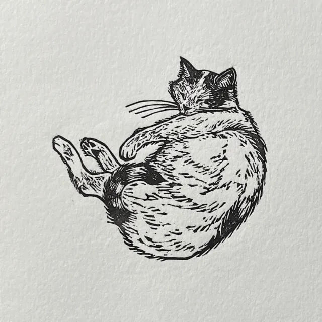 Emily Robertson linocut print of a sleeping cat curled on textured paper