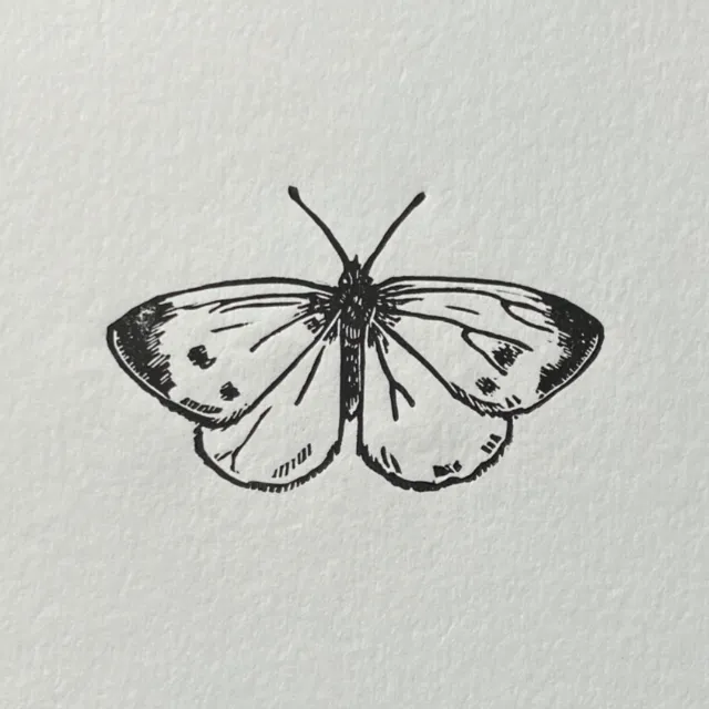 Emily Robertson linocut print of a cabbage white butterfly