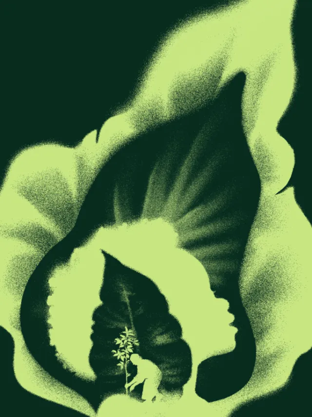 Green botanical profile illustration by Andrei Nicolescu