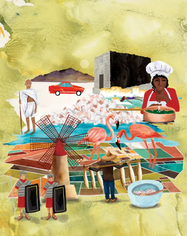 Illustration by Jennifer Maravillas-Bell showing salt production and trade