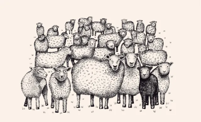 Angela Salerno illustration of a large flock of sheep