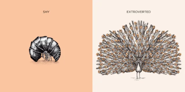 Angela Salerno illustration of a shy armadillo and extroverted peacock
