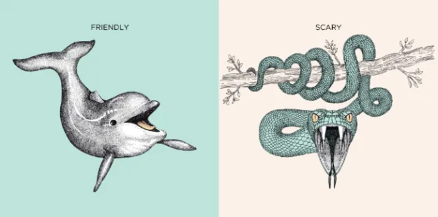 Angela Salerno illustration of a friendly dolphin and scary coiled snake