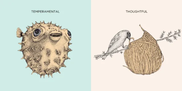 Mi Naturaleza illustrations by Angela Salerno show a spiky fish and a bird with a nest