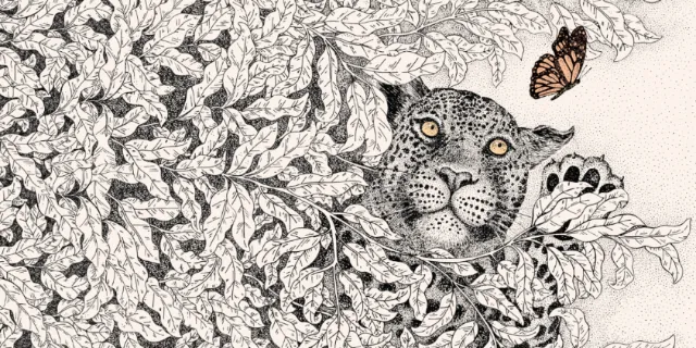 Angela Salerno illustration of a leopard concealed among leaves with a butterfly