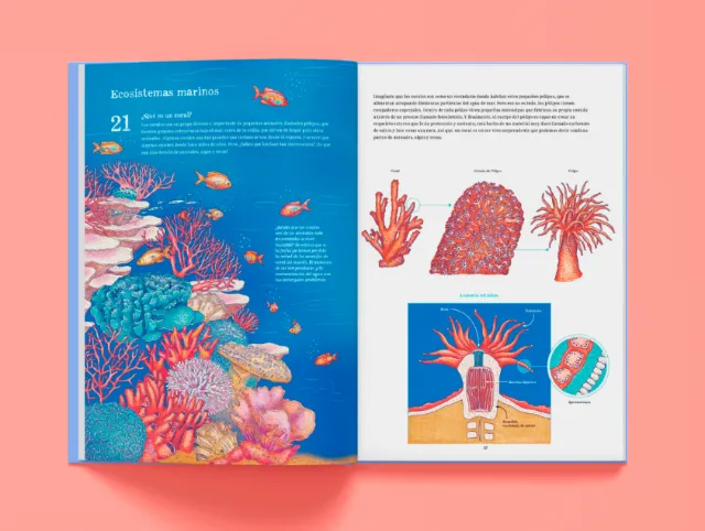 Angela Salerno's illustrated Oceánica book spread featuring colorful marine life