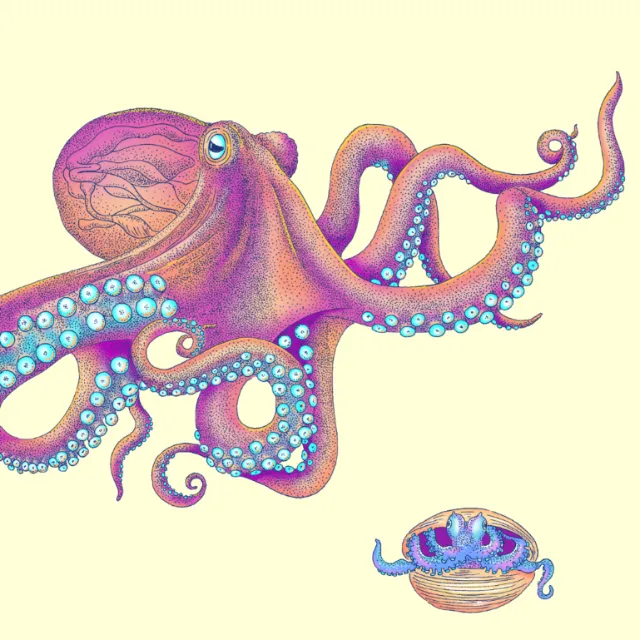 Colorful octopus illustration by Angela Salerno with a small jellyfish